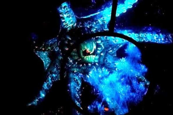 Kraken 5at