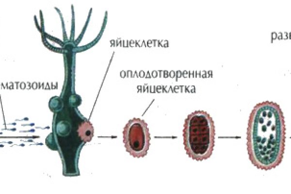 Как заказать на кракене