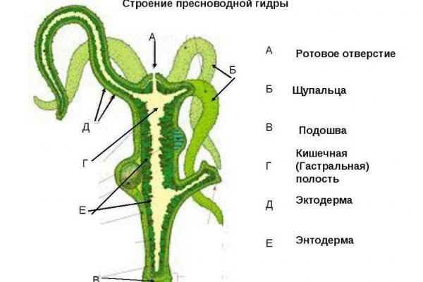 Кракен сайт супернет ссылка