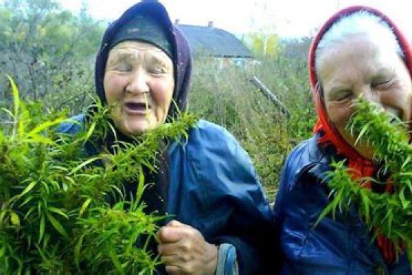 Кракен верное зеркало