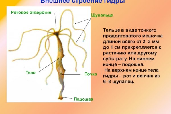 Hydra маркетплейс