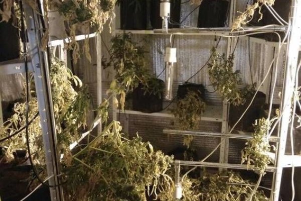 Как восстановить страницу на кракене