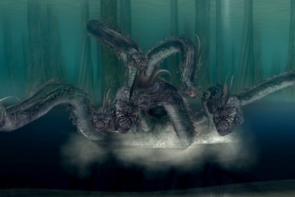 Kraken 19 at
