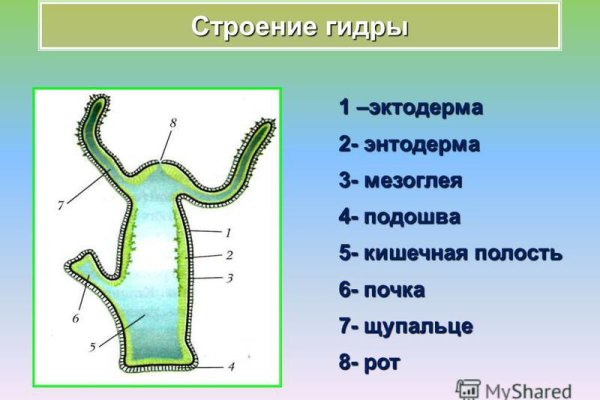 Kraken оригинальная ссылка