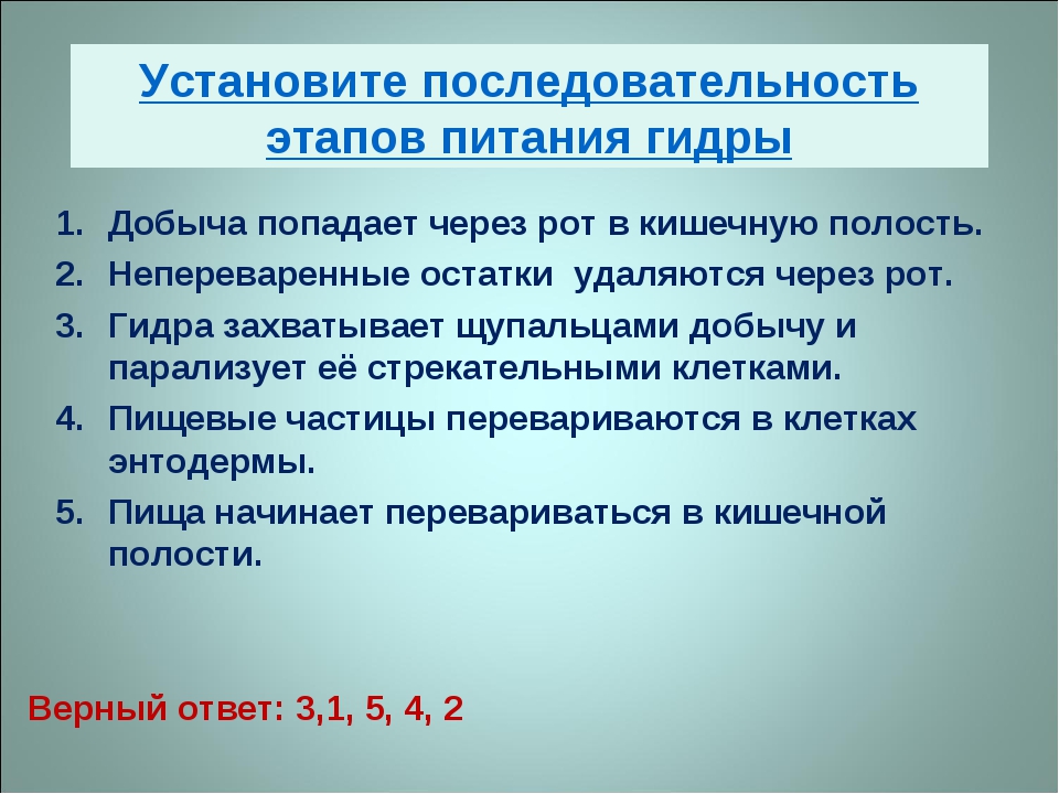 Кракен маркетплейс в тг
