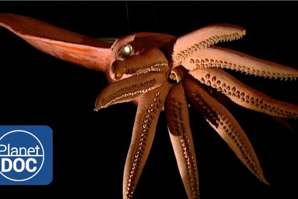 Kraken ссылки актуальные 2025 г